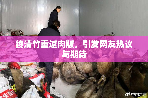 绫清竹重返肉版，引发网友热议与期待
