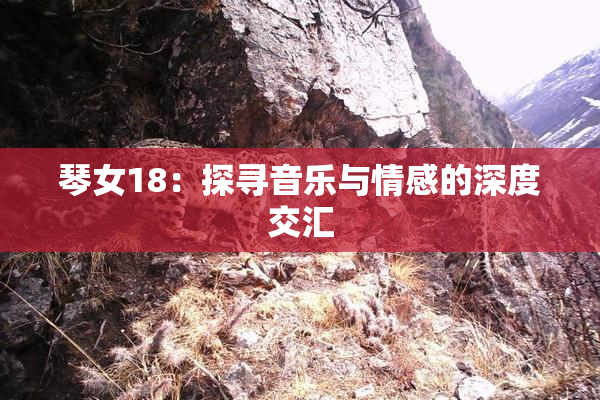 琴女18：探寻音乐与情感的深度交汇