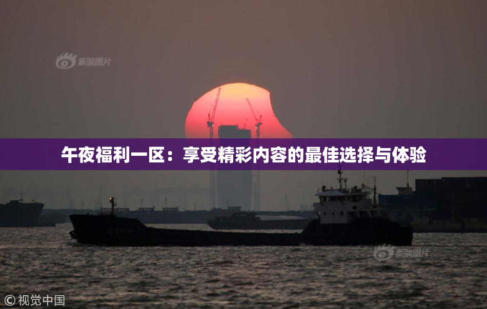 午夜福利一区：享受精彩内容的最佳选择与体验