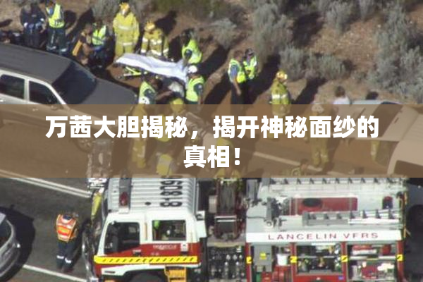 万茜大胆揭秘，揭开神秘面纱的真相！