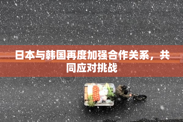 日本与韩国再度加强合作关系，共同应对挑战