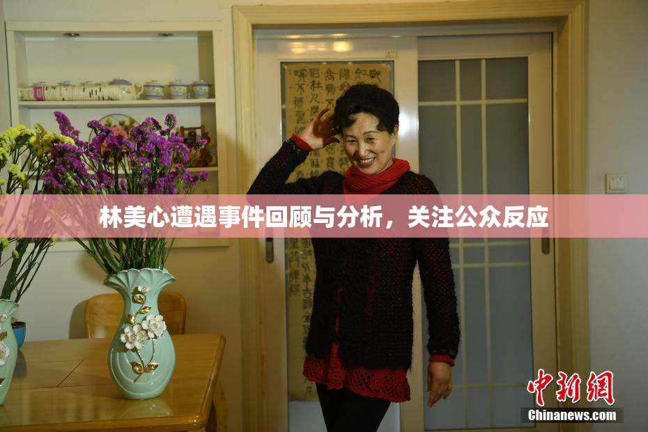 林美心遭遇事件回顾与分析，关注公众反应