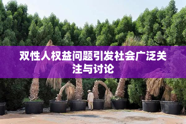双性人权益问题引发社会广泛关注与讨论