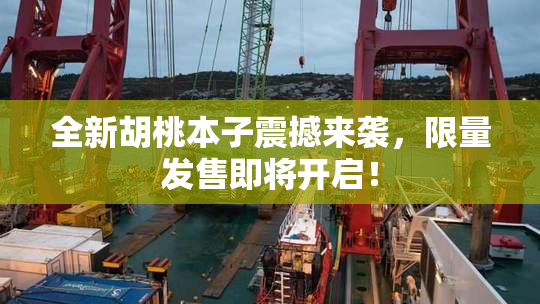 全新胡桃本子震撼来袭，限量发售即将开启！