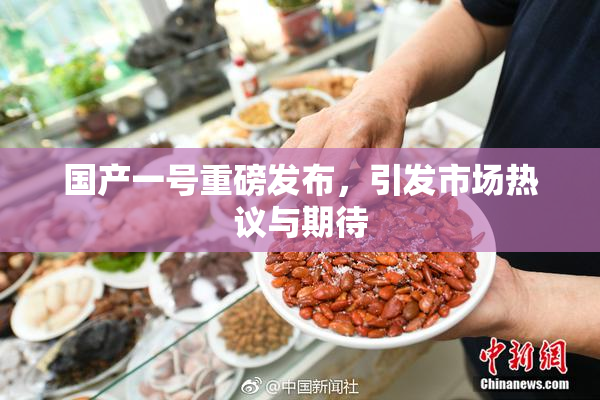 国产一号重磅发布，引发市场热议与期待