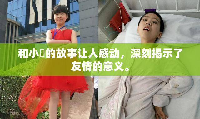 和小娻的故事让人感动，深刻揭示了友情的意义。