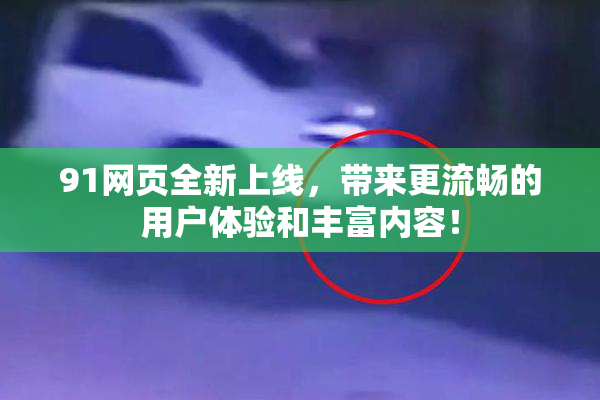 91网页全新上线，带来更流畅的用户体验和丰富内容！