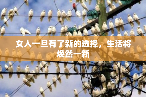 女人一旦有了新的选择，生活将焕然一新