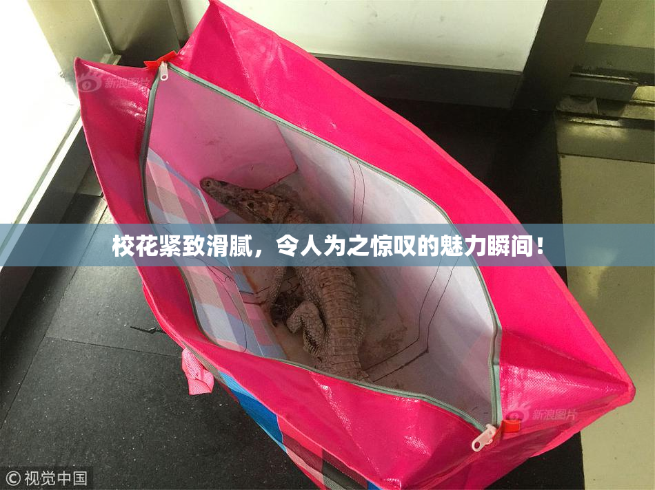 校花紧致滑腻，令人为之惊叹的魅力瞬间！