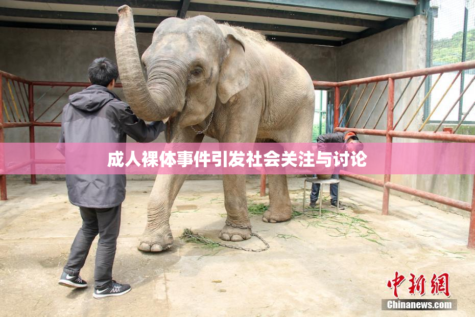成人裸体事件引发社会关注与讨论