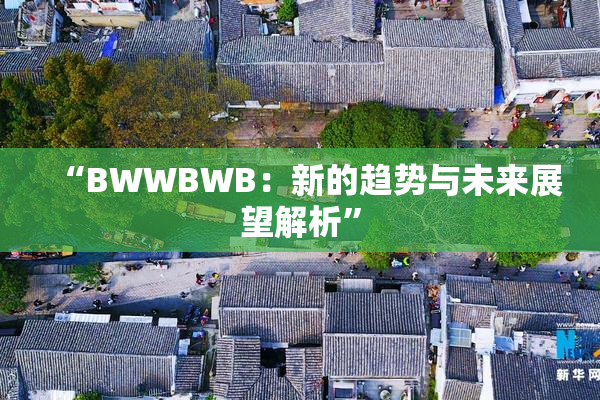 “BWWBWB：新的趋势与未来展望解析”