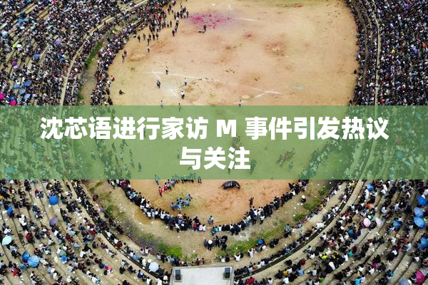 沈芯语进行家访 M 事件引发热议与关注