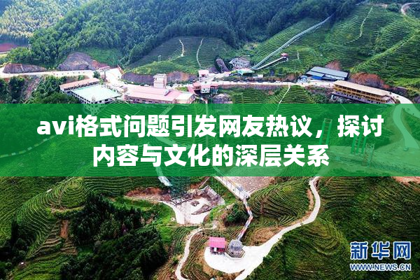 avi格式问题引发网友热议，探讨内容与文化的深层关系