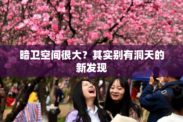 暗卫空间很大？其实别有洞天的新发现