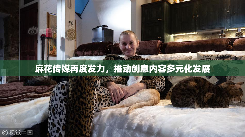 麻花传媒再度发力，推动创意内容多元化发展