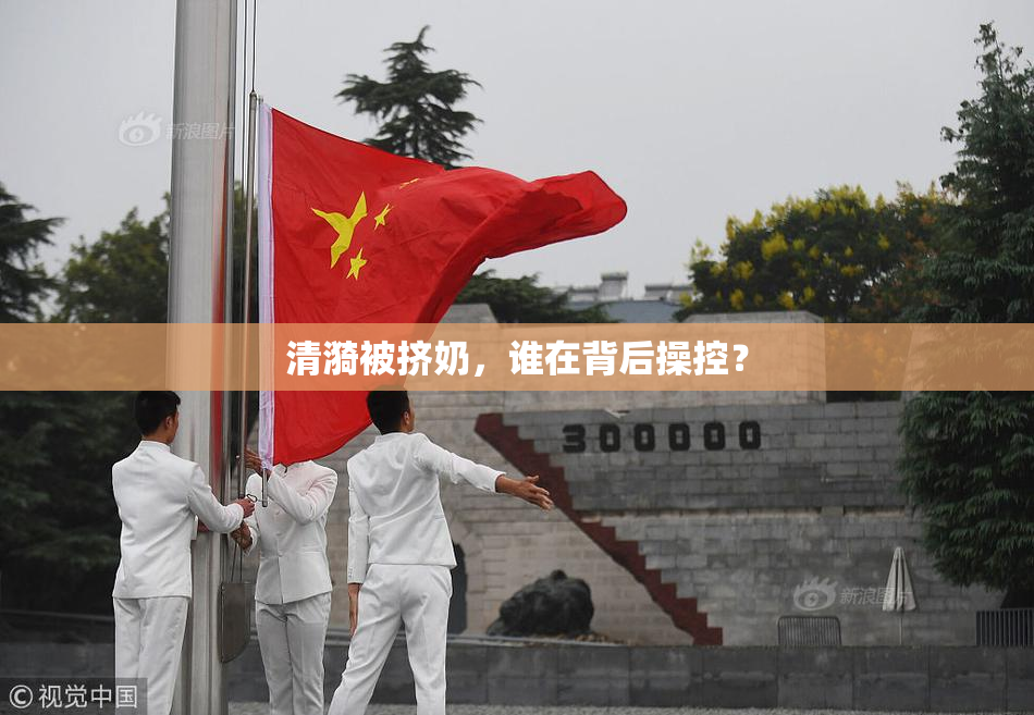 清漪被挤奶，谁在背后操控？
