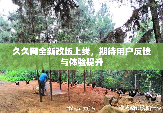久久网全新改版上线，期待用户反馈与体验提升