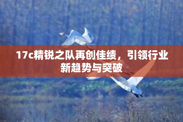 17c精锐之队再创佳绩，引领行业新趋势与突破