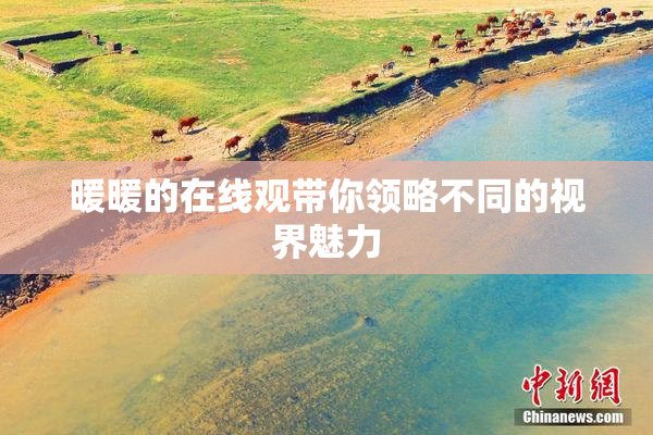 暖暖的在线观带你领略不同的视界魅力