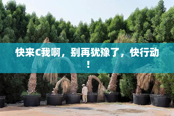 快来C我啊，别再犹豫了，快行动！