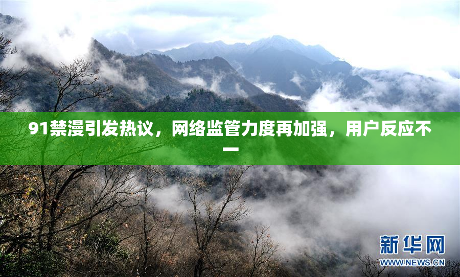 91禁漫引发热议，网络监管力度再加强，用户反应不一