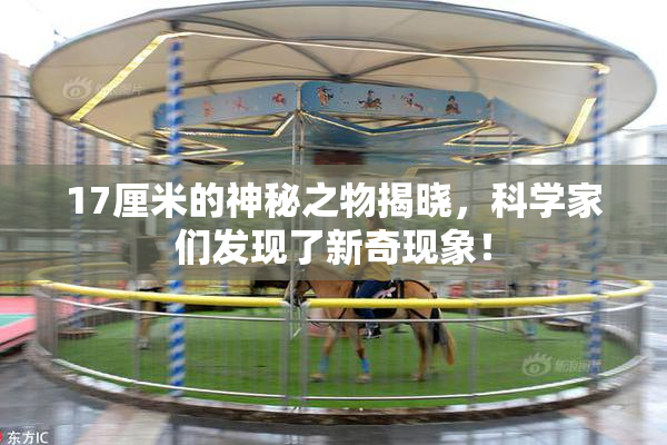 17厘米的神秘之物揭晓，科学家们发现了新奇现象！