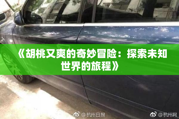 《胡桃又爽的奇妙冒险：探索未知世界的旅程》