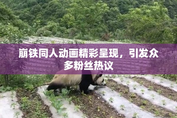 崩铁同人动画精彩呈现，引发众多粉丝热议