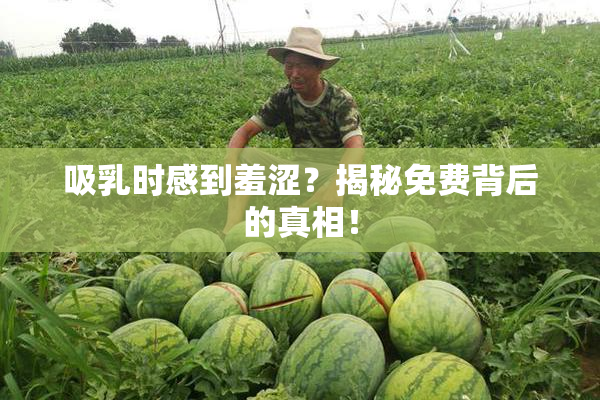 吸乳时感到羞涩？揭秘免费背后的真相！