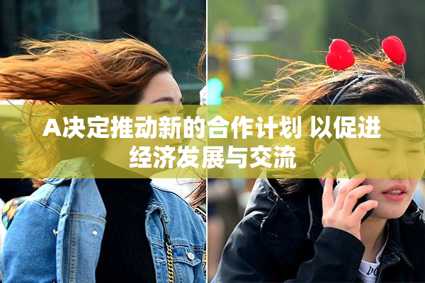 A决定推动新的合作计划 以促进经济发展与交流