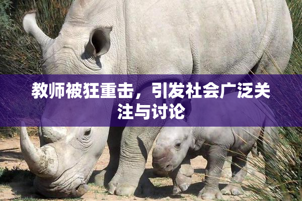 教师被狂重击，引发社会广泛关注与讨论