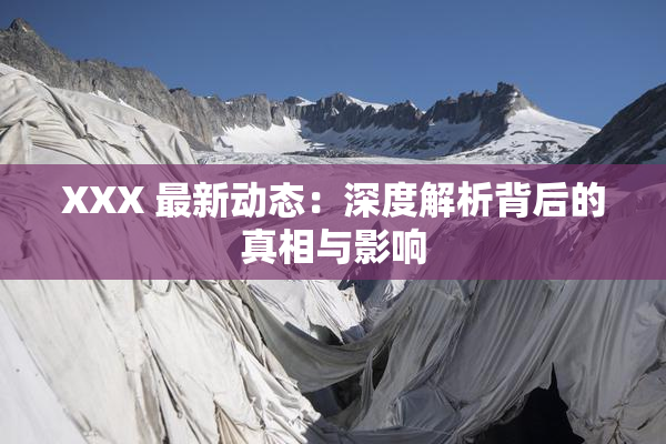 XXX 最新动态：深度解析背后的真相与影响