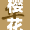 樱花季节来临 视频带你领略最美樱花景观