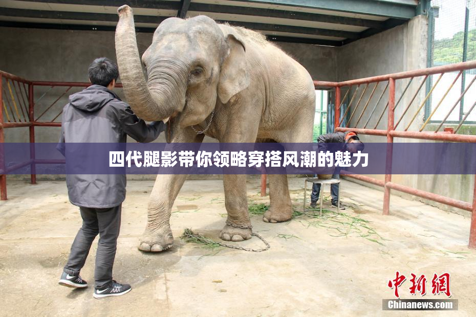 四代腿影带你领略穿搭风潮的魅力