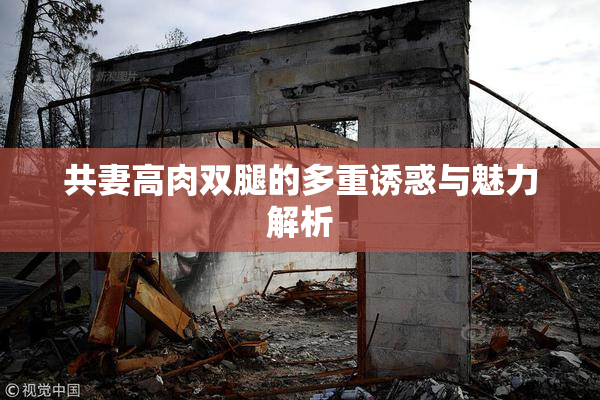 共妻高肉双腿的多重诱惑与魅力解析