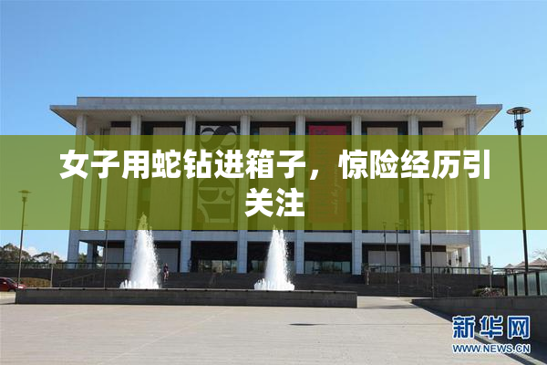 女子用蛇钻进箱子，惊险经历引关注