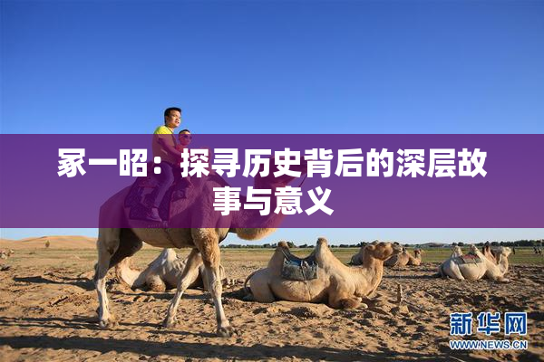 冢一昭：探寻历史背后的深层故事与意义