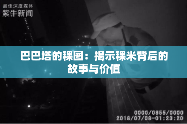 巴巴塔的稞图：揭示稞米背后的故事与价值