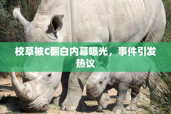 校草被C翻白内幕曝光，事件引发热议