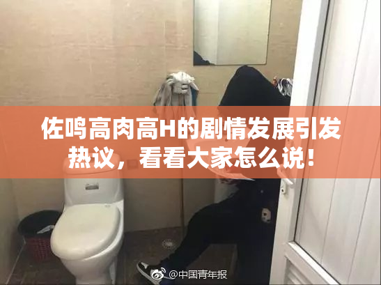 佐鸣高肉高H的剧情发展引发热议，看看大家怎么说！