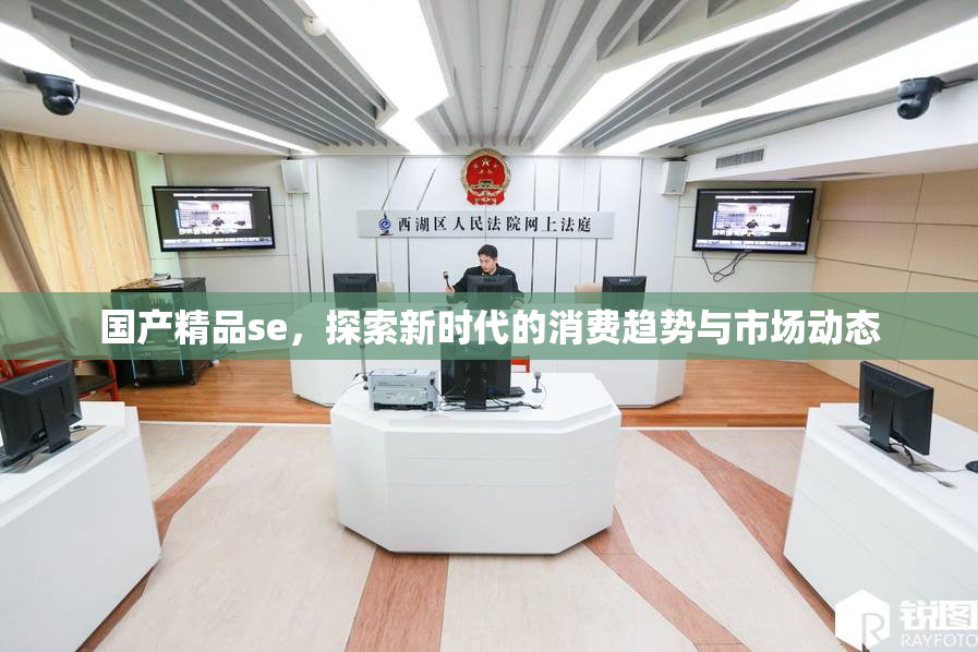 国产精品se，探索新时代的消费趋势与市场动态