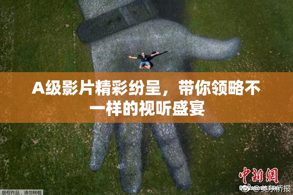 A级影片精彩纷呈，带你领略不一样的视听盛宴