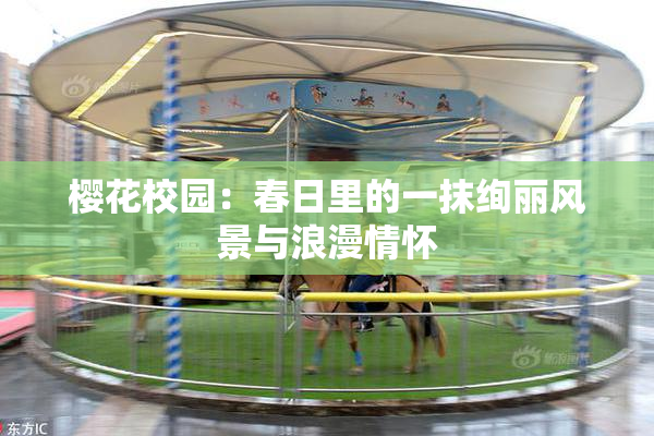 樱花校园：春日里的一抹绚丽风景与浪漫情怀