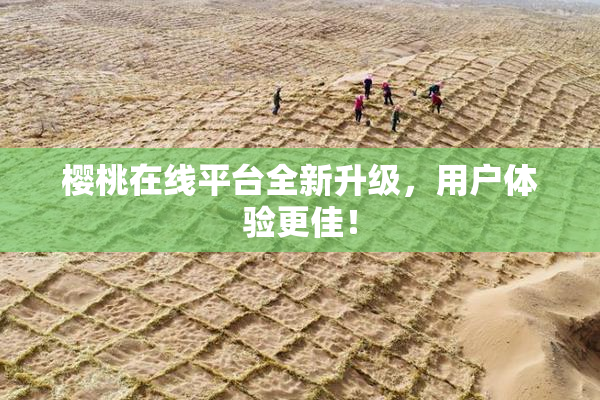 樱桃在线平台全新升级，用户体验更佳！