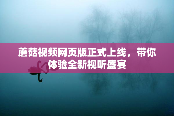 蘑菇视频网页版正式上线，带你体验全新视听盛宴