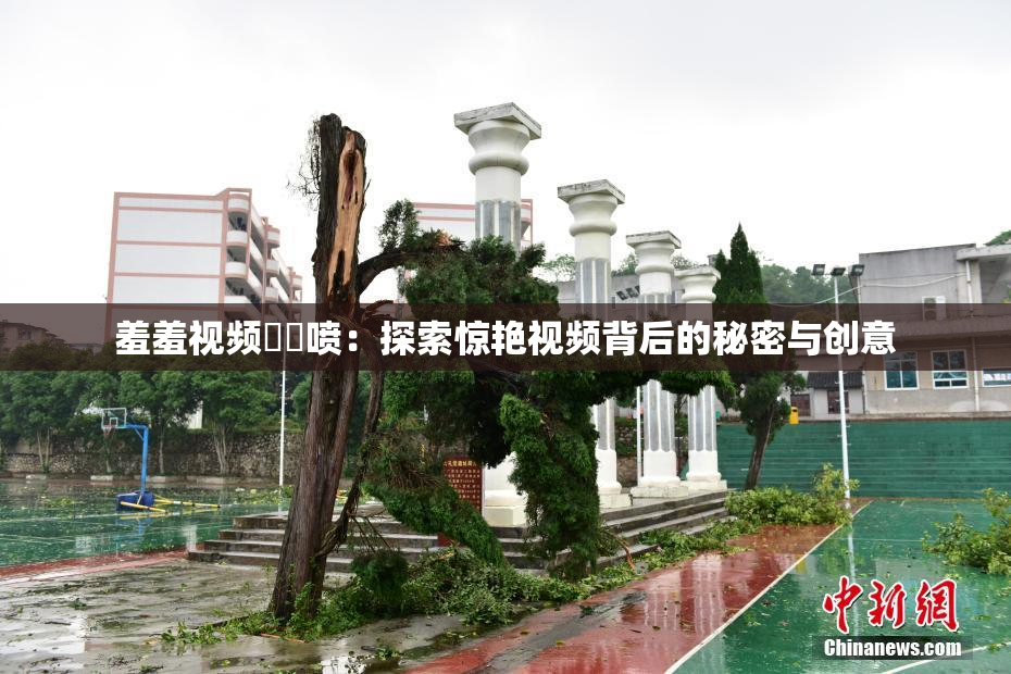 羞羞视频❌‌喷：探索惊艳视频背后的秘密与创意