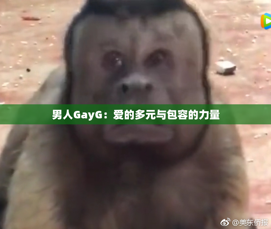 男人GayG：爱的多元与包容的力量