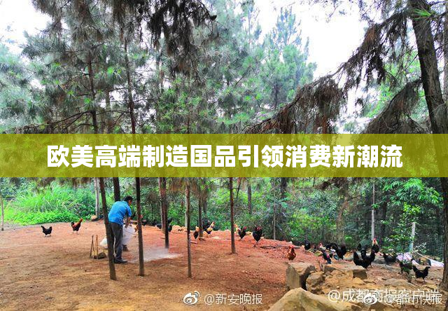 欧美高端制造国品引领消费新潮流