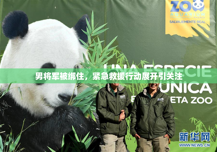男将军被绑住，紧急救援行动展开引关注