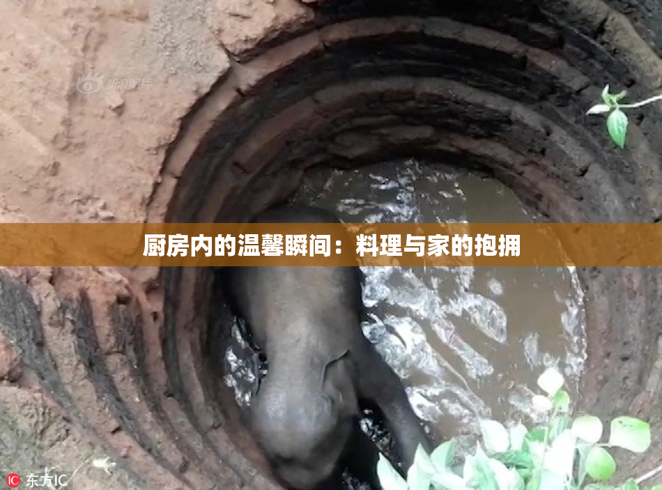 厨房内的温馨瞬间：料理与家的抱拥